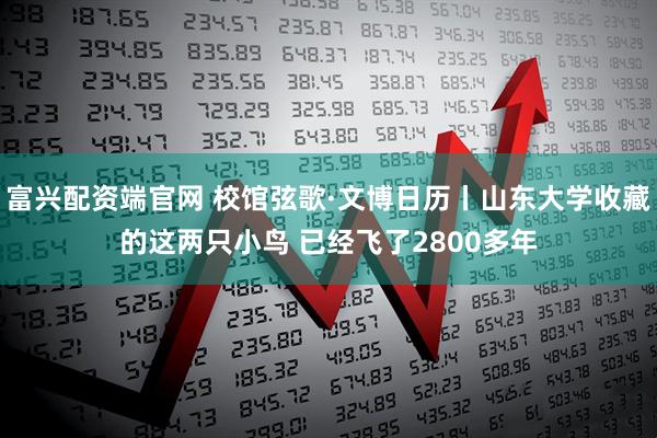 富兴配资端官网 校馆弦歌·文博日历丨山东大学收藏的这两只小鸟 已经飞了2800多年