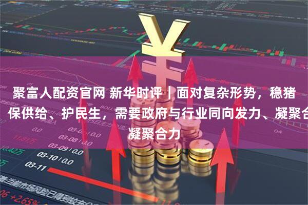 聚富人配资官网 新华时评｜面对复杂形势，稳猪价、保供给、护民生，需要政府与行业同向发力、凝聚合力
