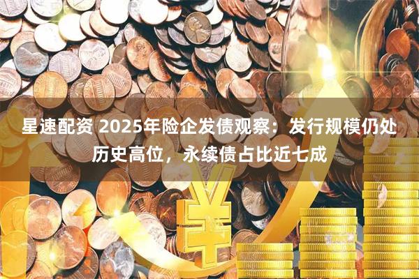 星速配资 2025年险企发债观察:发行规模仍处历史高位,永续债占比近七成