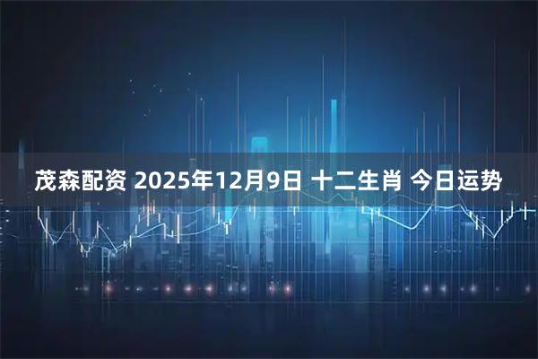 茂森配资 2025年12月9日 十二生肖 今日运势