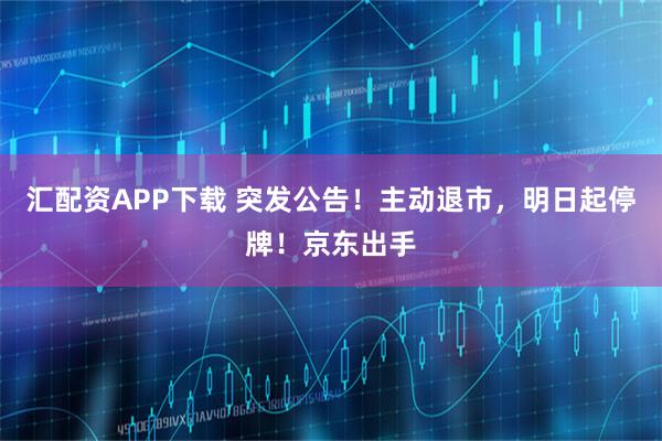 汇配资APP下载 突发公告！主动退市，明日起停牌！京东出手